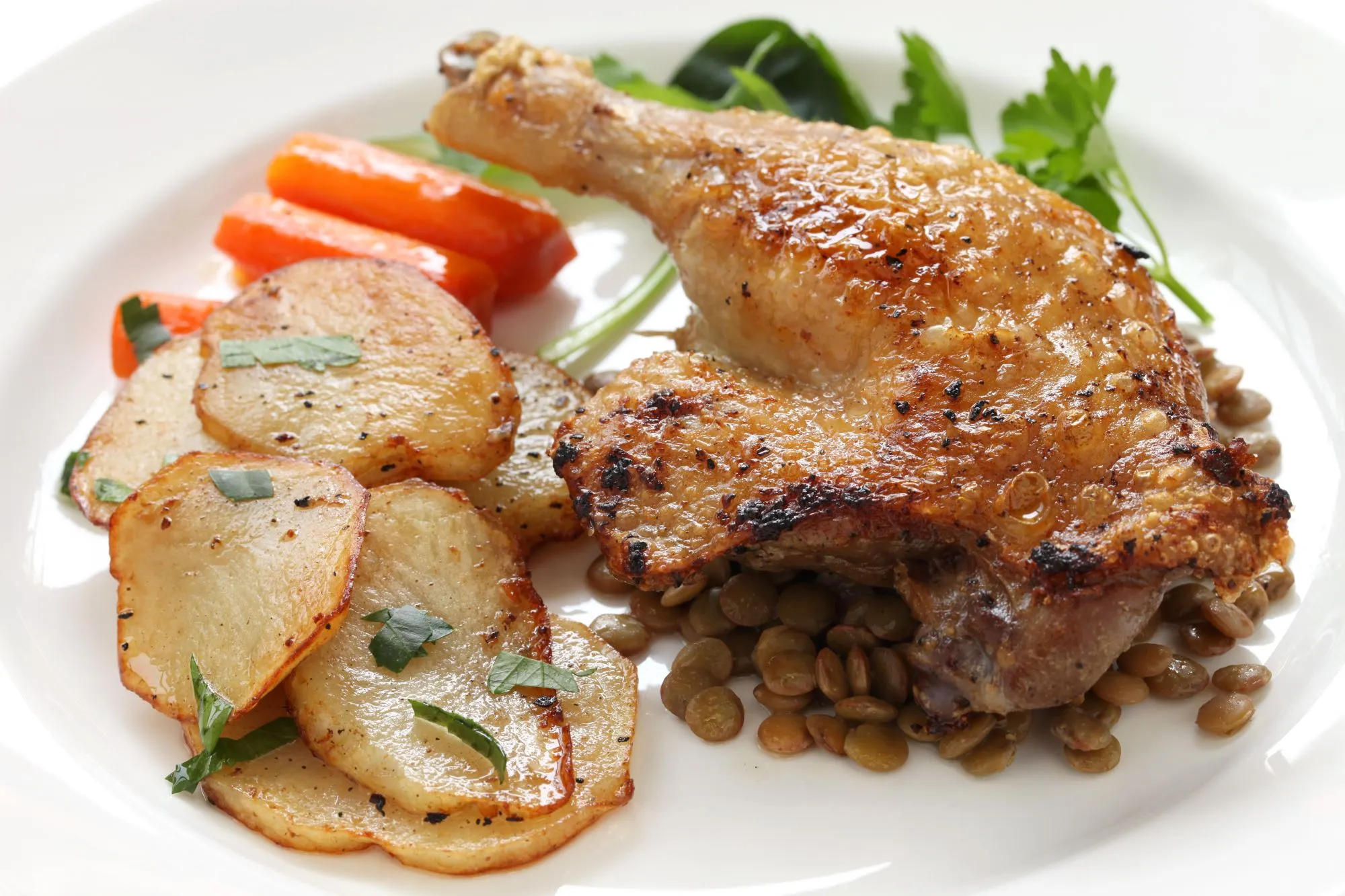 Andeconfit med linser