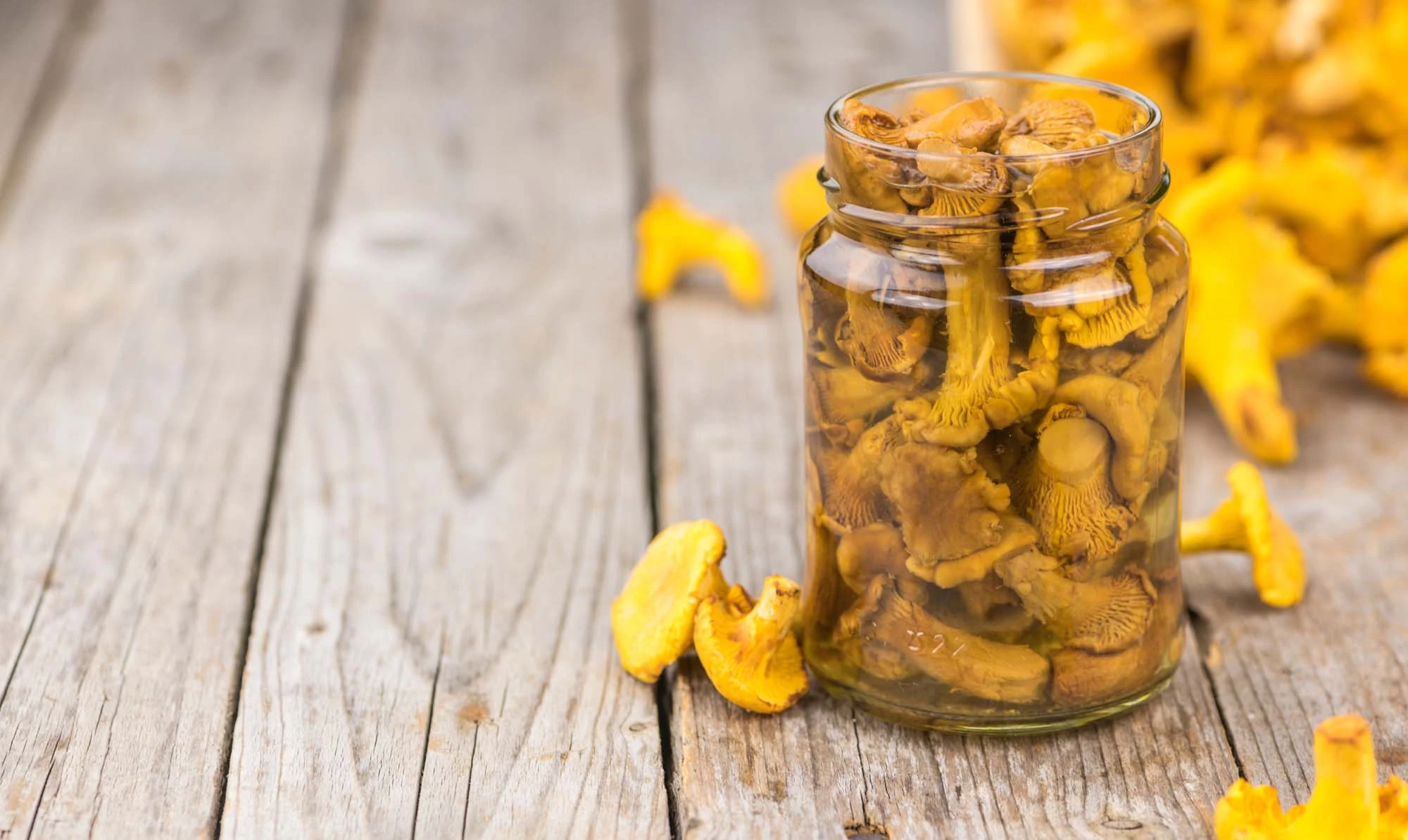 Syltede tragtkantareller