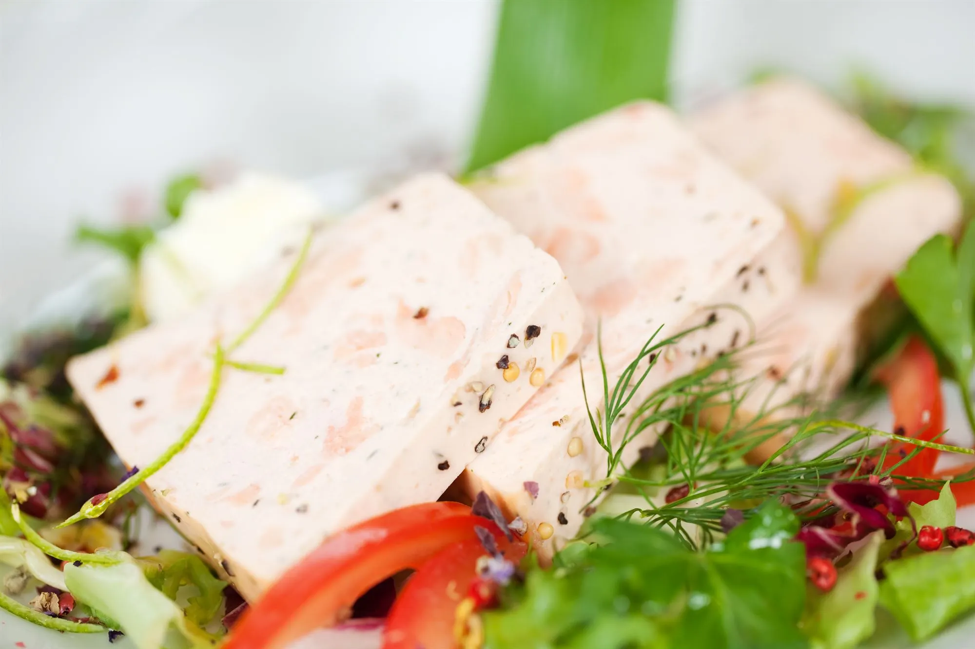 Torske- og hummerhaleterrin