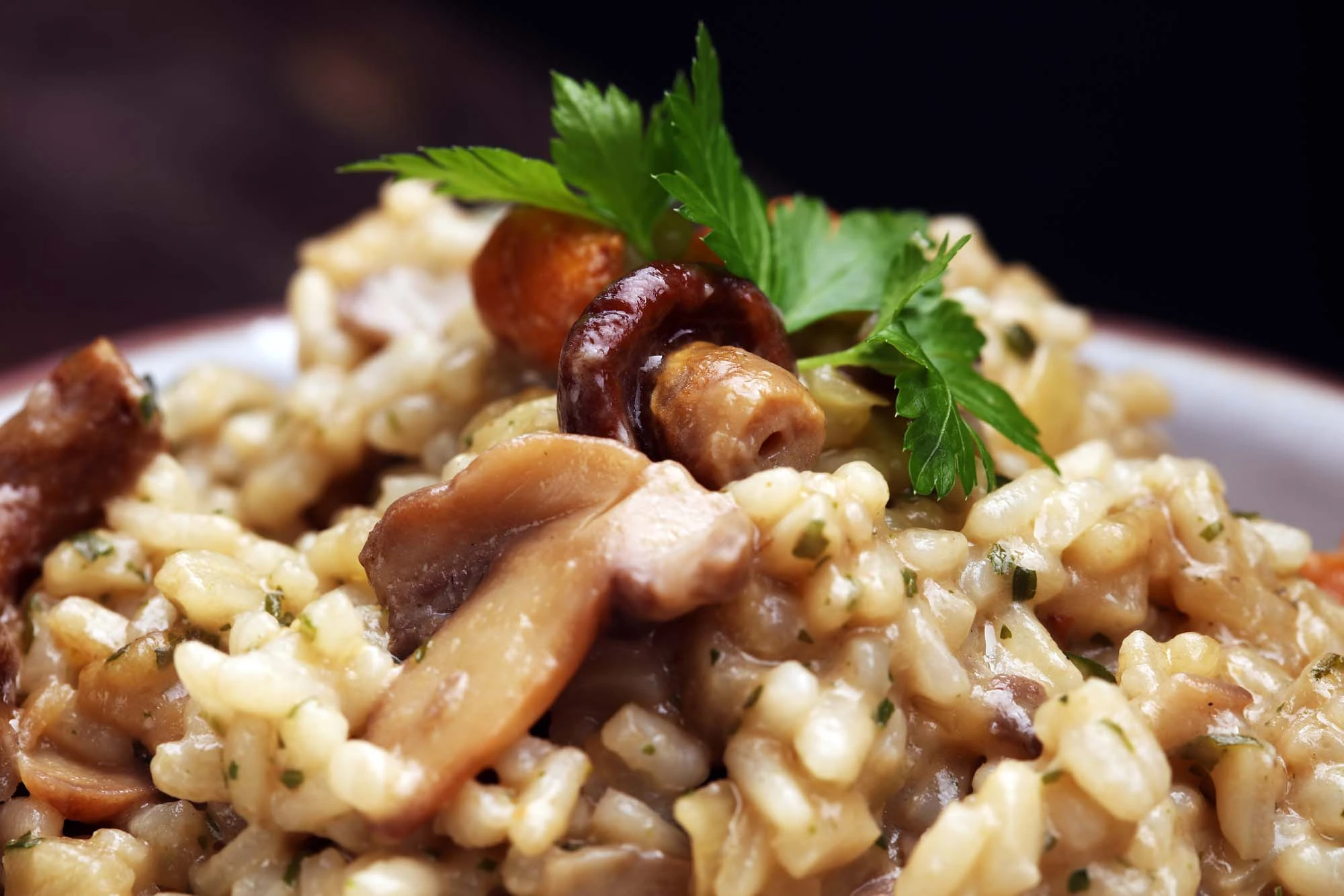 Risotto med svampe og trøffel