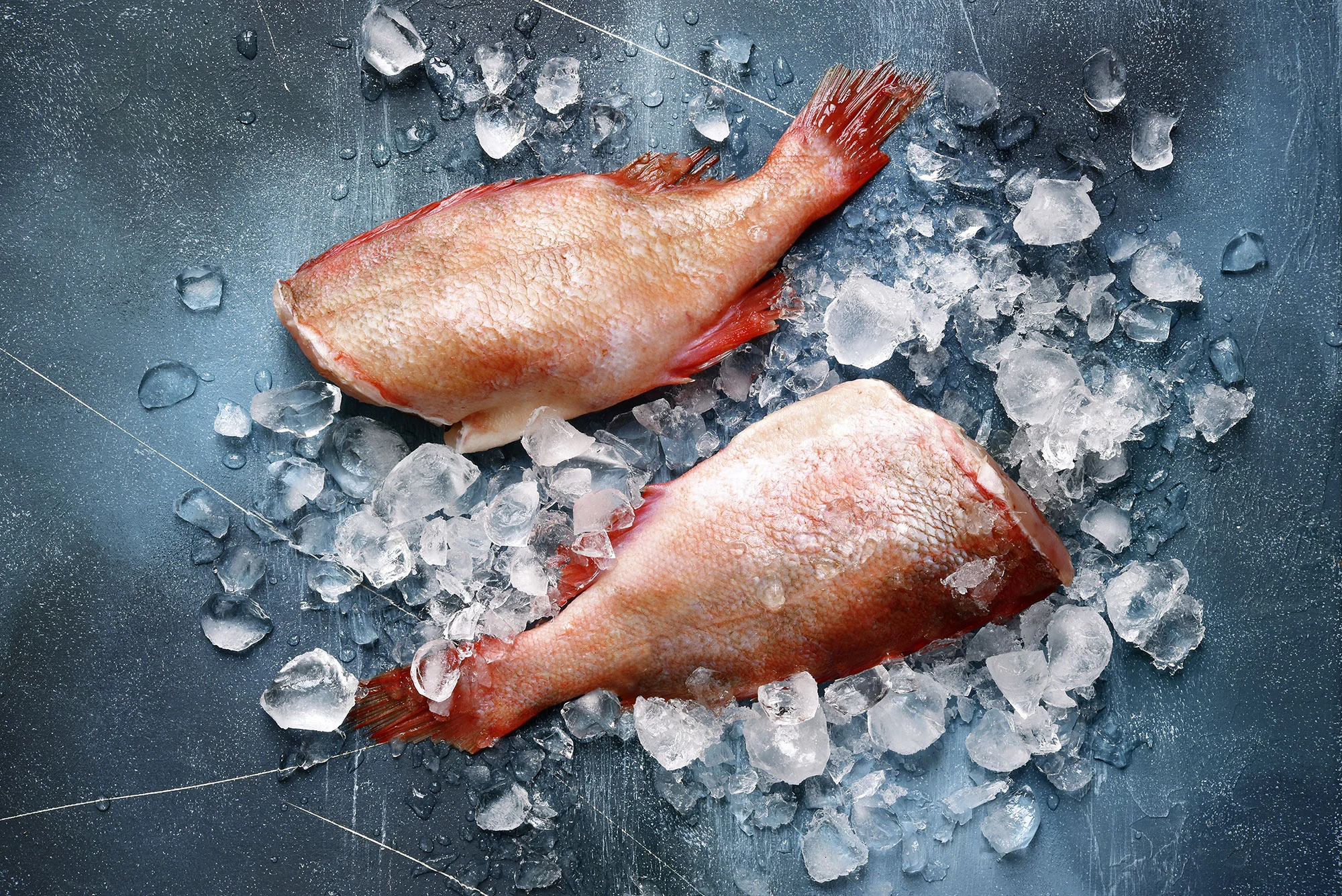 Hel grillet rødfisk