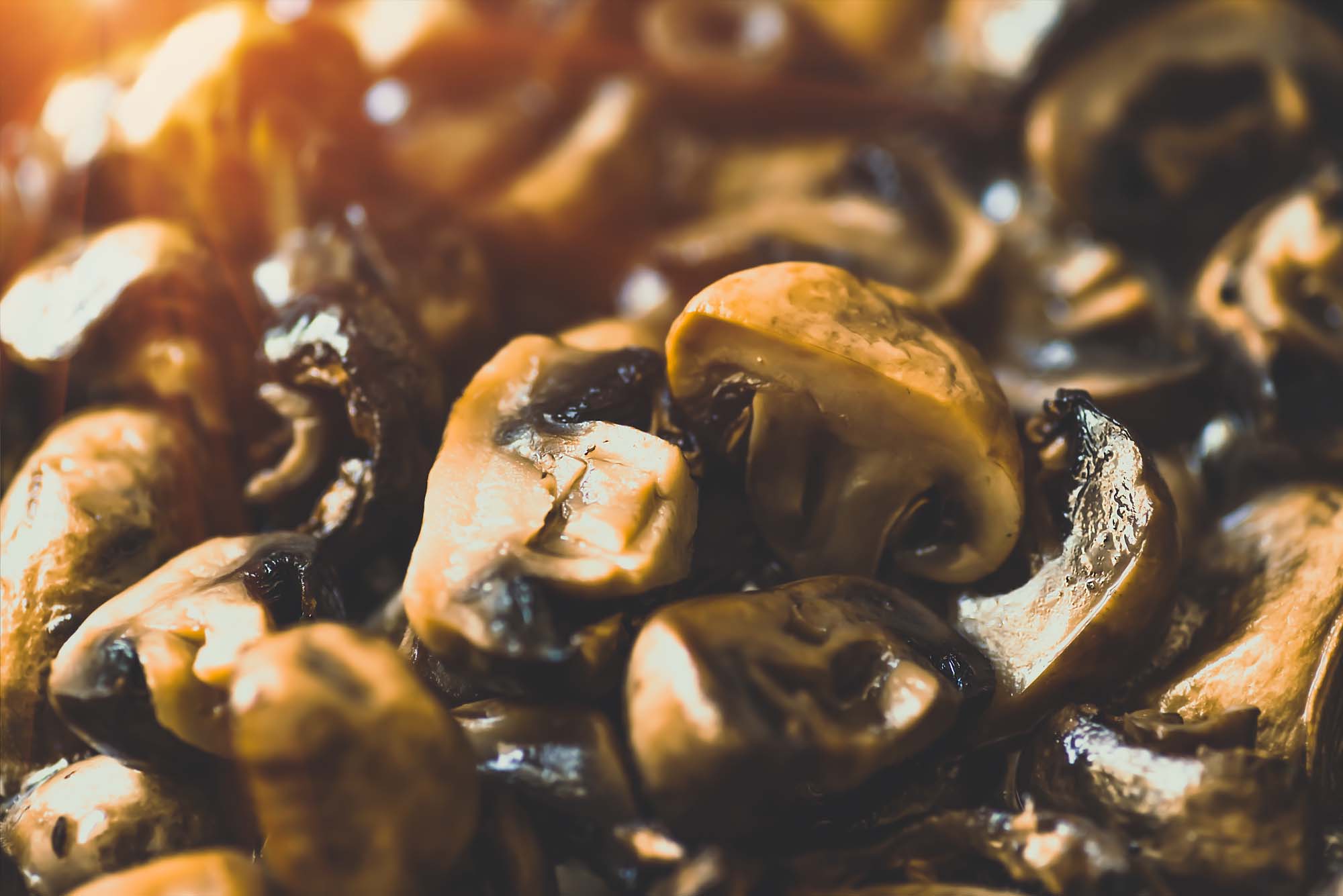 Hvidløgschampignoner